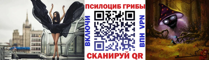 Псилоцибиновые грибы Psilocybe Волхов
